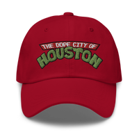 Houston In a Half Shell Dad hat