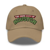 Houston In a Half Shell Dad hat