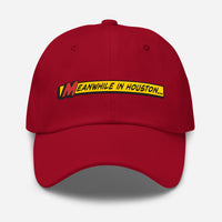 Meanwhile In Houston Dad hat
