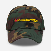 Meanwhile In Houston Dad hat
