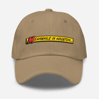 Meanwhile In Houston Dad hat