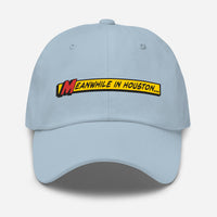 Meanwhile In Houston Dad hat