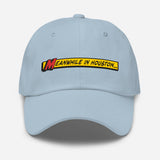 Meanwhile In Houston Dad hat