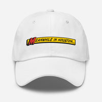 Meanwhile In Houston Dad hat